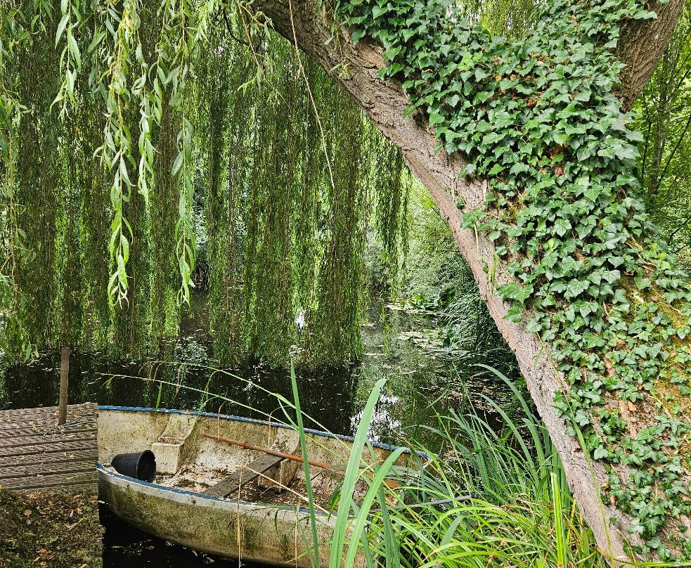 Westonbury Mill Water Gardens-Pembridge必去景点