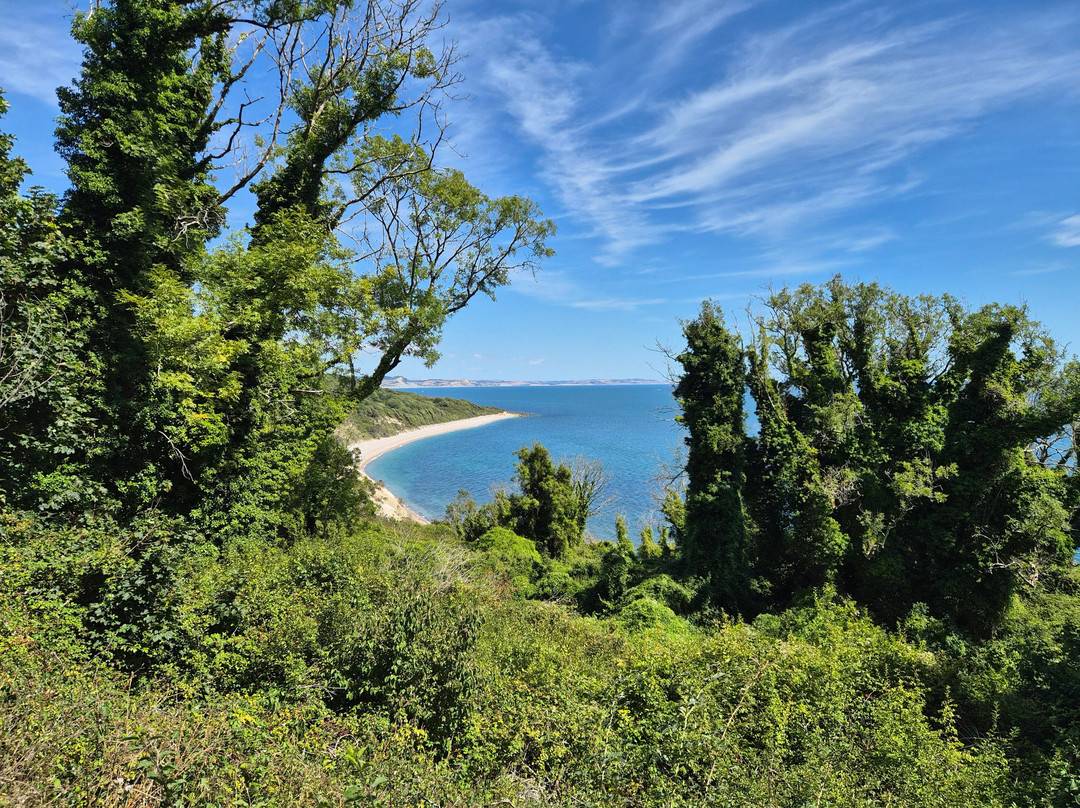 Lyme Regis Undercliff-莱姆里杰斯必去景点