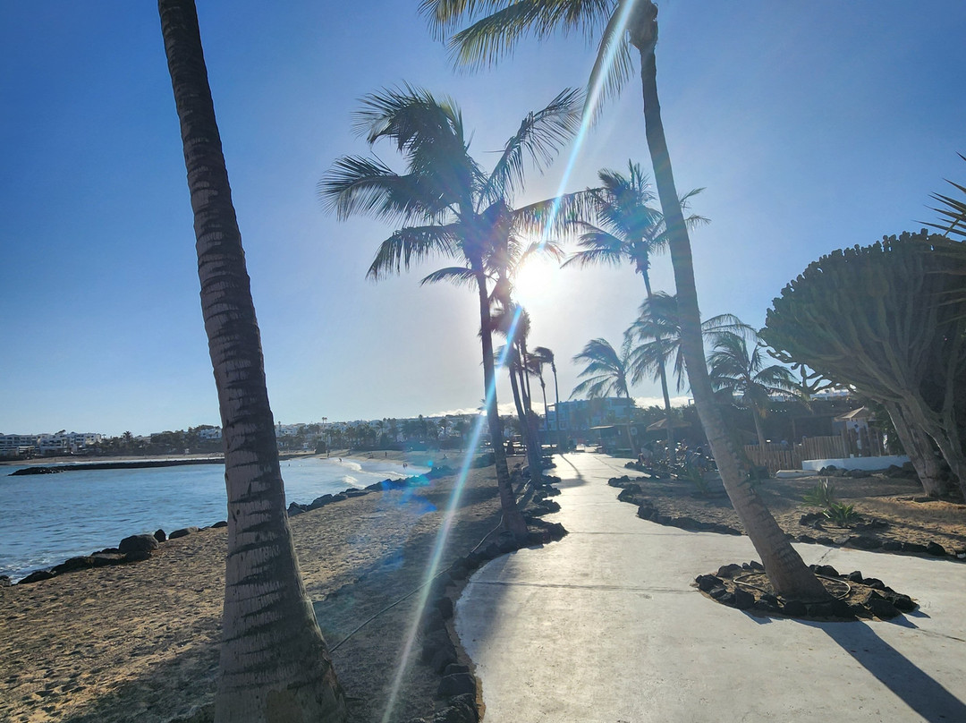 Playa De Los Charcos-科斯塔特吉塞必去景点