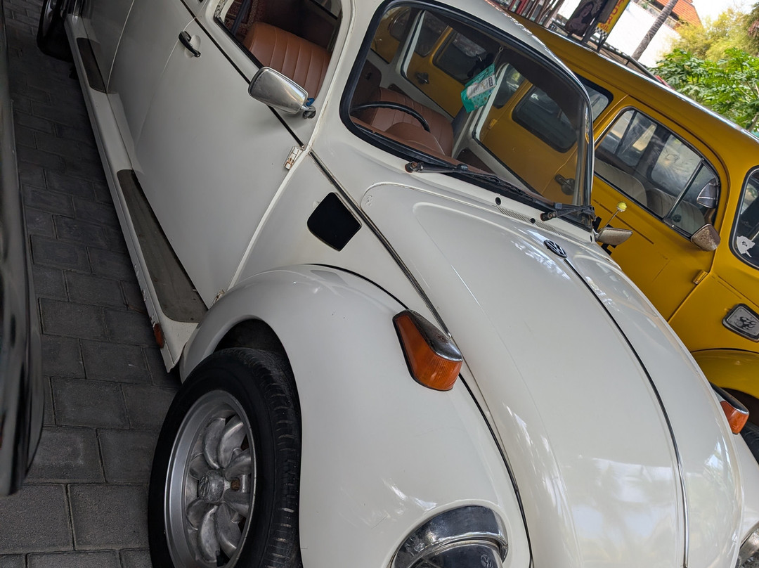 Kebon Vintage Cars-Panjer必去景点