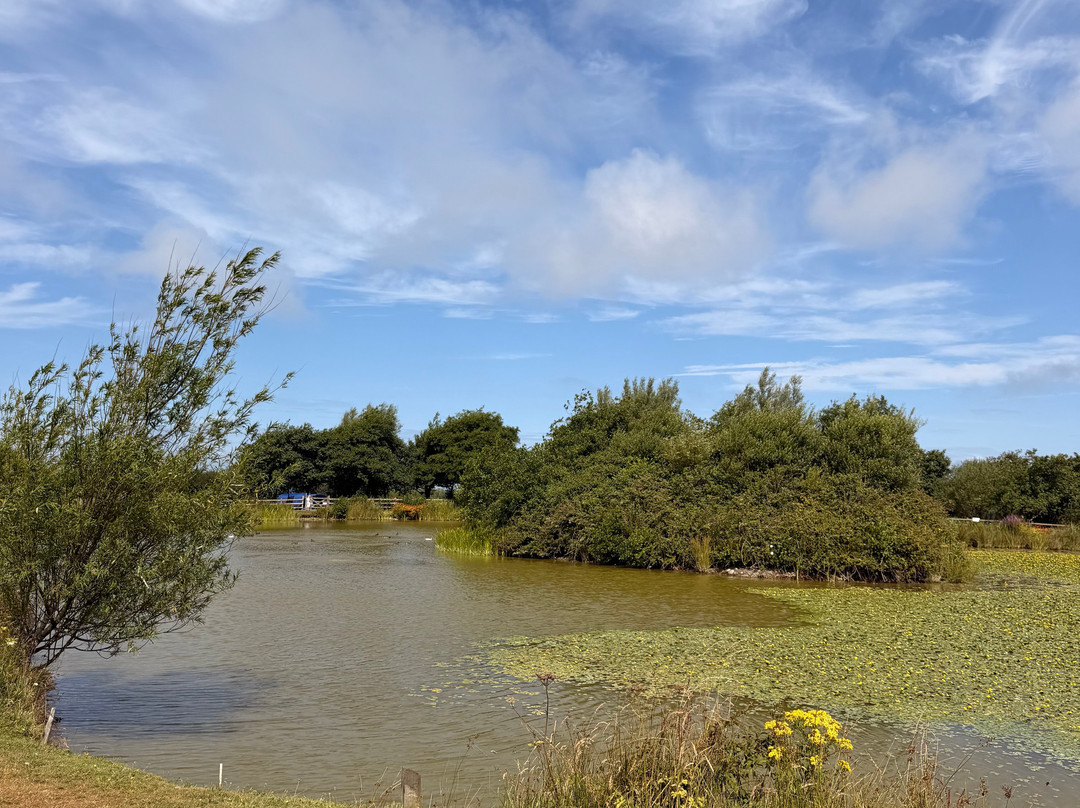 Warcombe Farm Camping Park主图