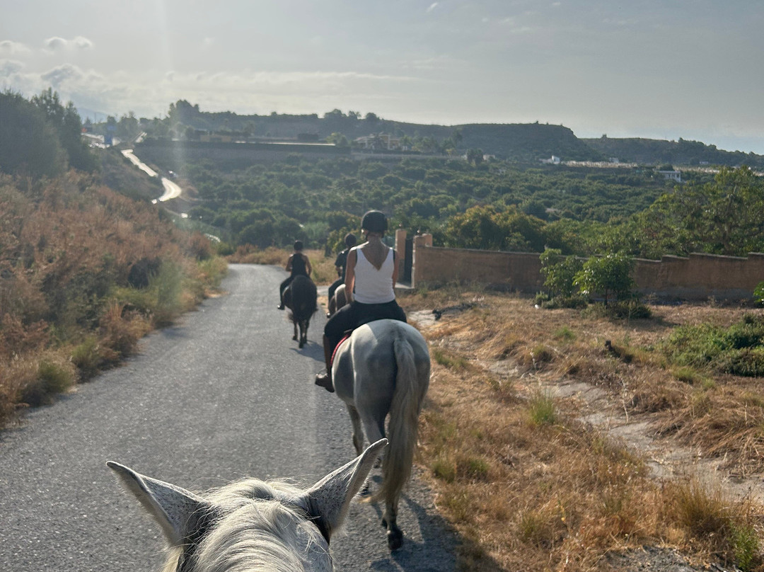 Jade Equestrian Nerja-内尔哈必去景点