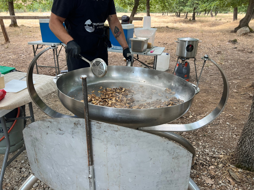 Truffle Hunting-卡兰巴卡必去景点