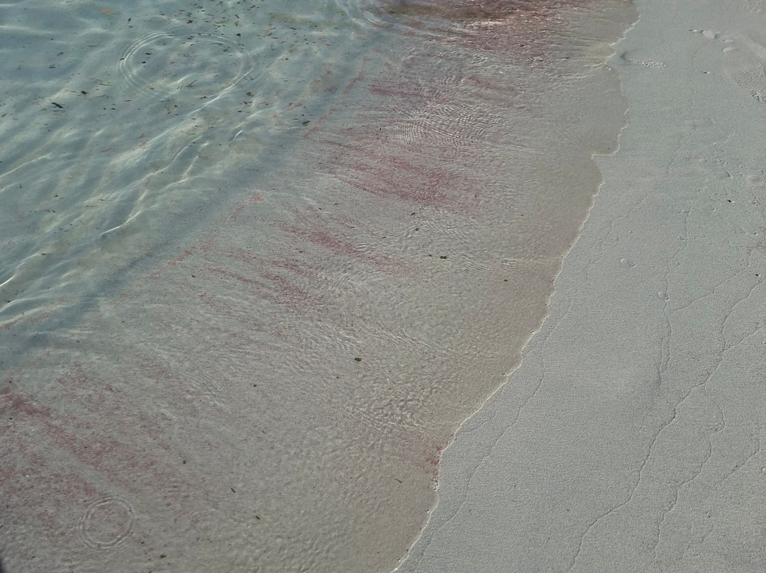 Cala Blanca Beach-卡拉布兰卡必去景点