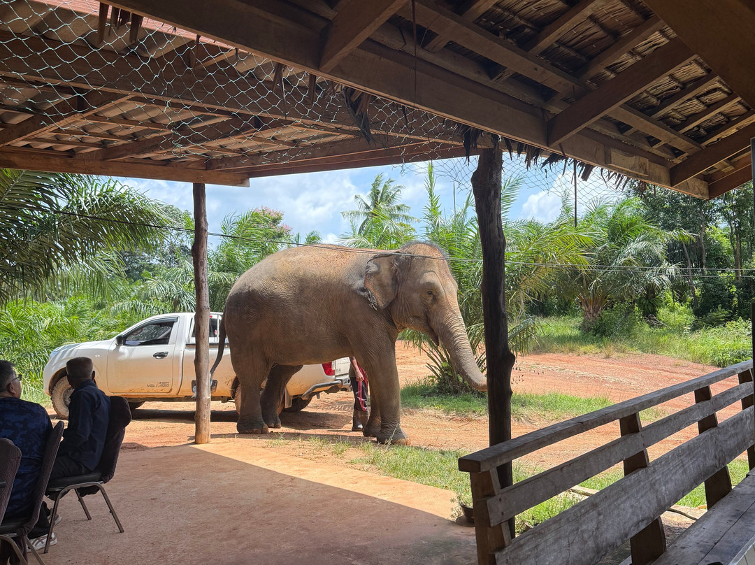 Following Giants - Krabi-Khlong Hin必去景点