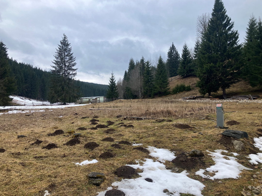 Via Transilvanica-Piatra Fantanele必去景点