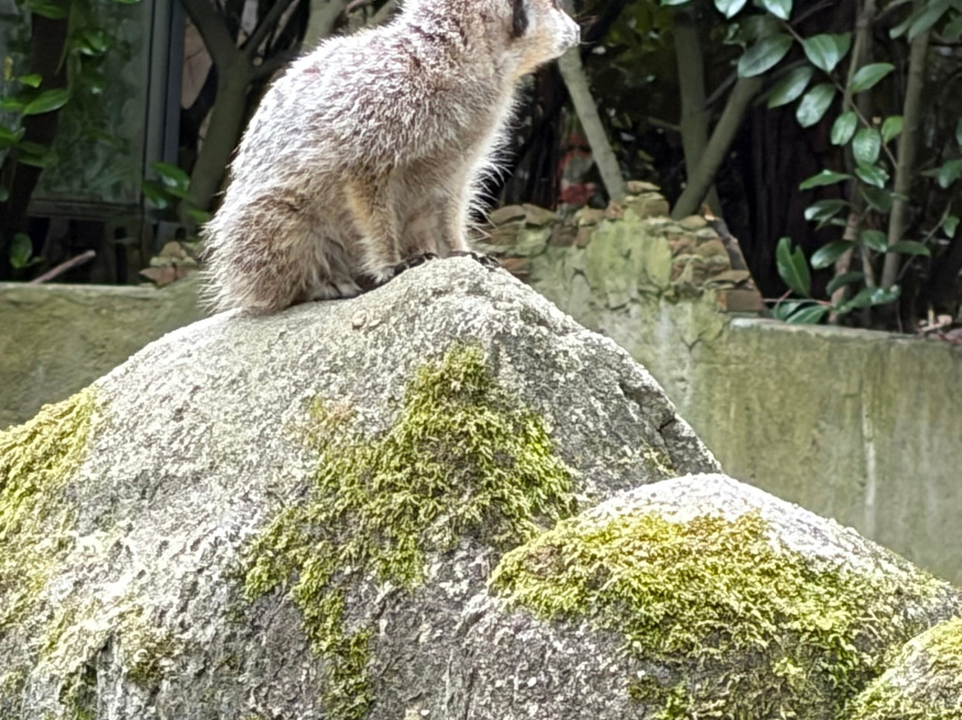 DierenPark Amersfoort-阿默斯福特必去景点