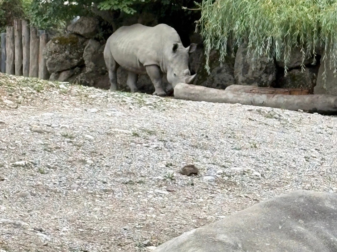 Zoo Salzburg-安妮夫必去景点