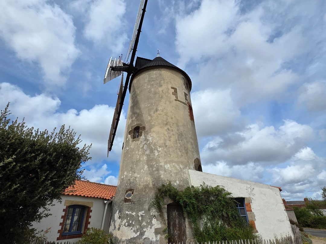 Le Moulin à Vent de Rairé-Sallertaine必去景点