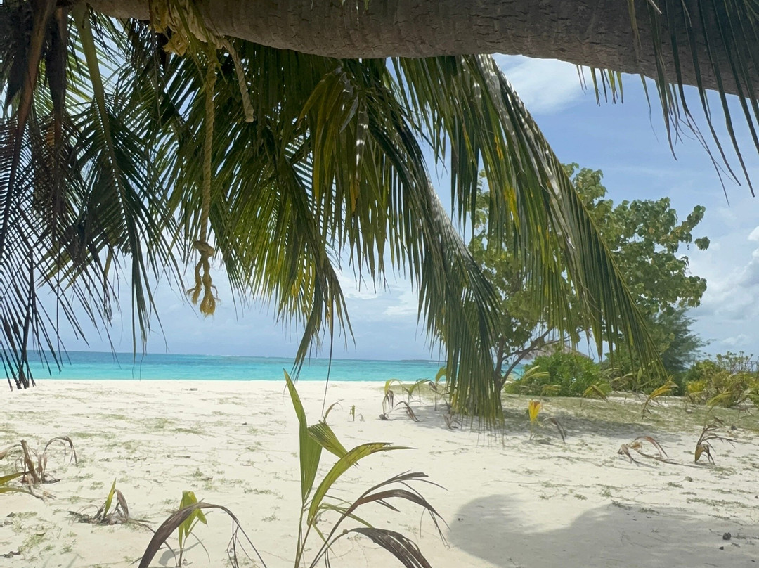 Black Pearl Himandhoo