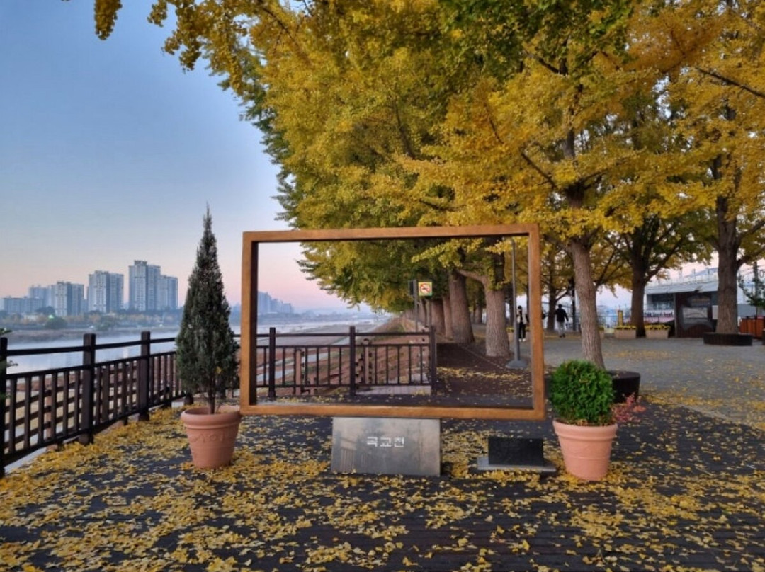 Gingko Tree Road-牙山市必去景点