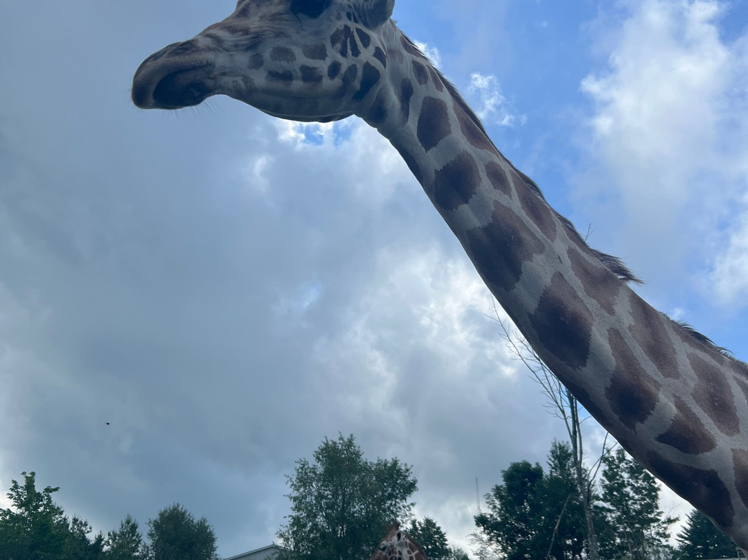 Animal Adventure Park-Harpursville必去景点