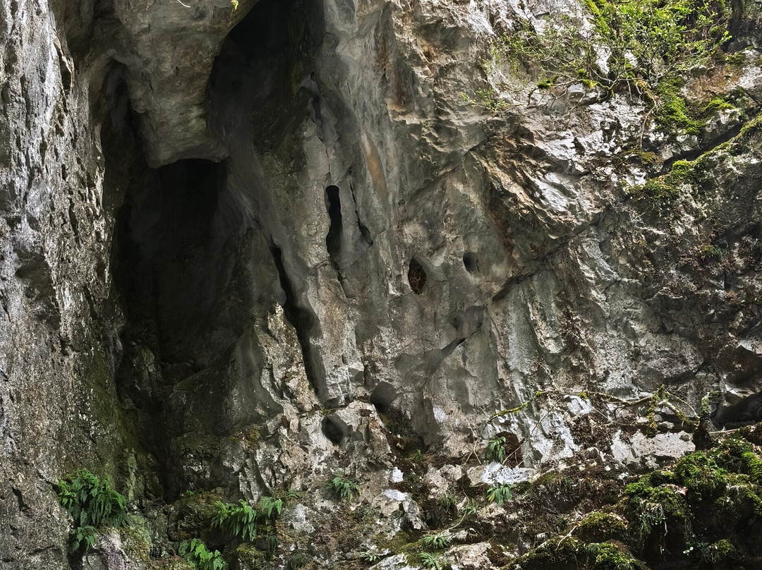 Cueva de las Güixas-Villanua必去景点