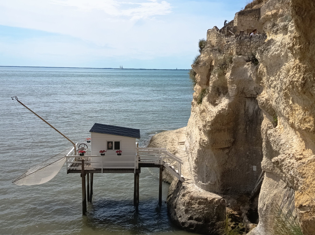 Grottes du Régulus-Meschers-sur-Gironde必去景点