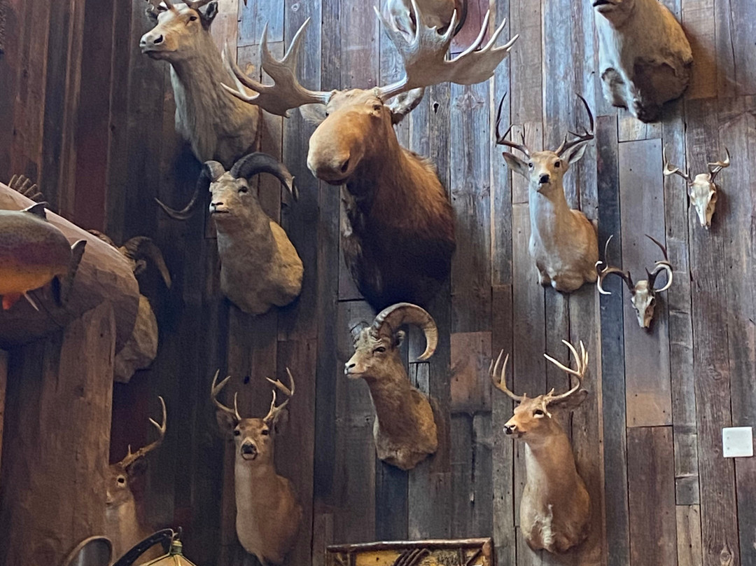Bass Pro Shops Outdoor World-塞维尔维尔必去景点