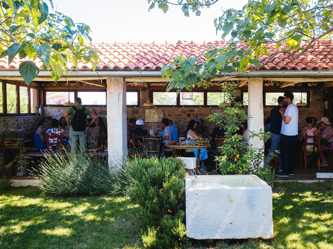 Wine Tasting Brac & Olive Oil Brac-Nerezisca必去景点