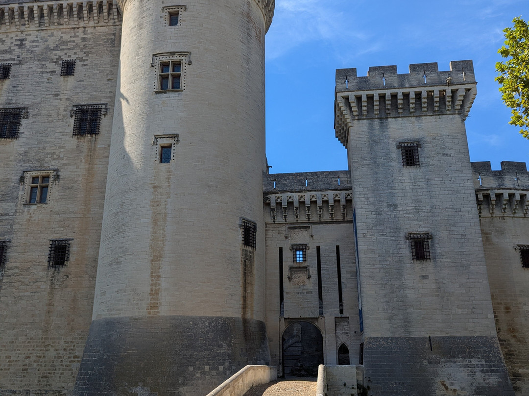 Chateau de Tarascon-塔拉斯孔必去景点