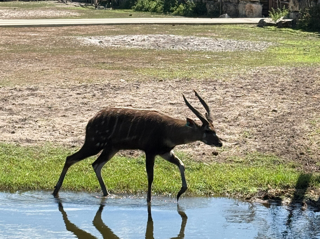 Zoo Bassin d'Arcachon-拉泰斯特德比克必去景点