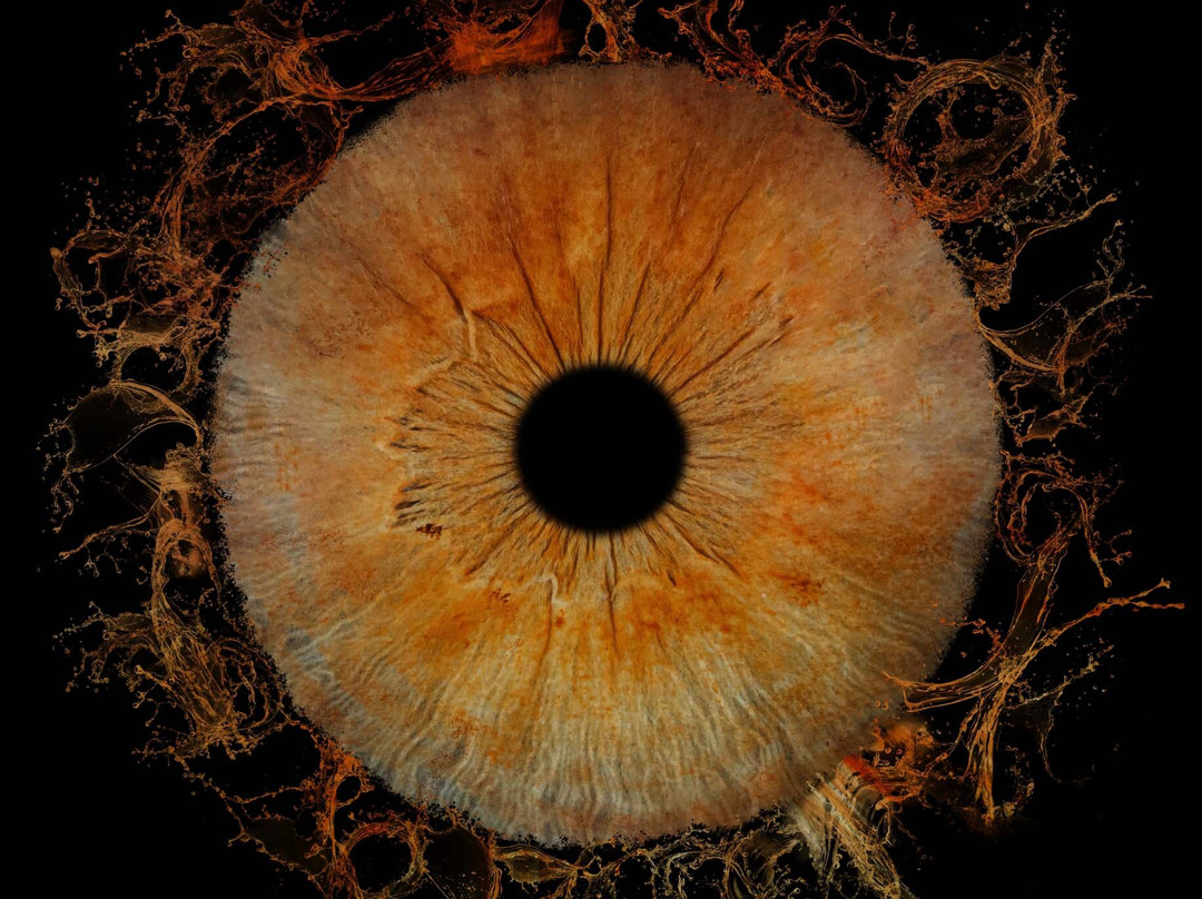 Iris Galerie Arnhem