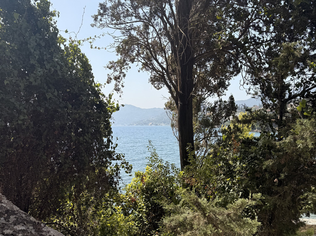 Mouse Island-Pontikonisi必去景点