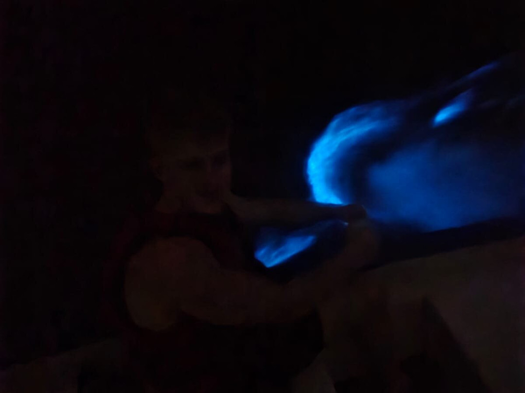 Eddy’s Bioluminescent Reserve-Paquera必去景点