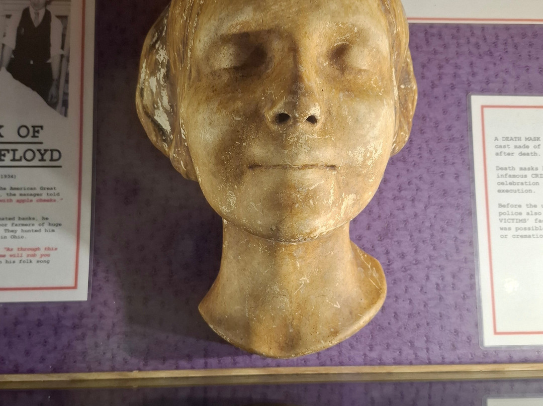 The True CRIME Museum-海斯廷斯必去景点