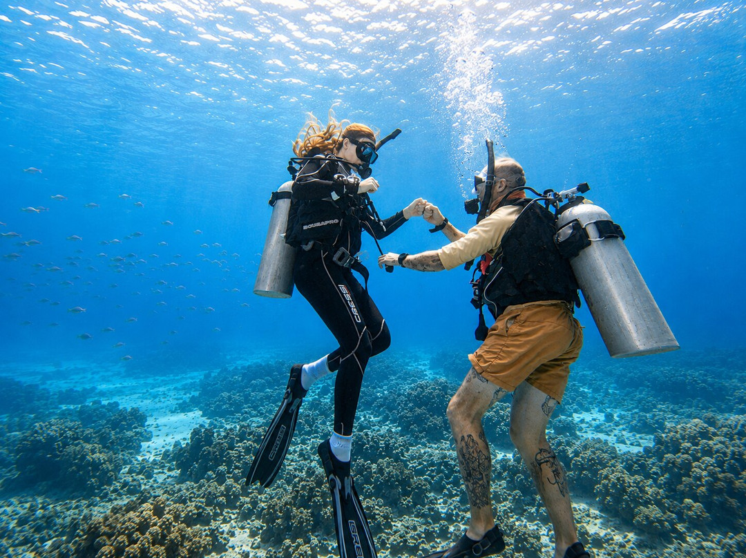 Scuba Froggy - Senggigi-Senggigi必去景点