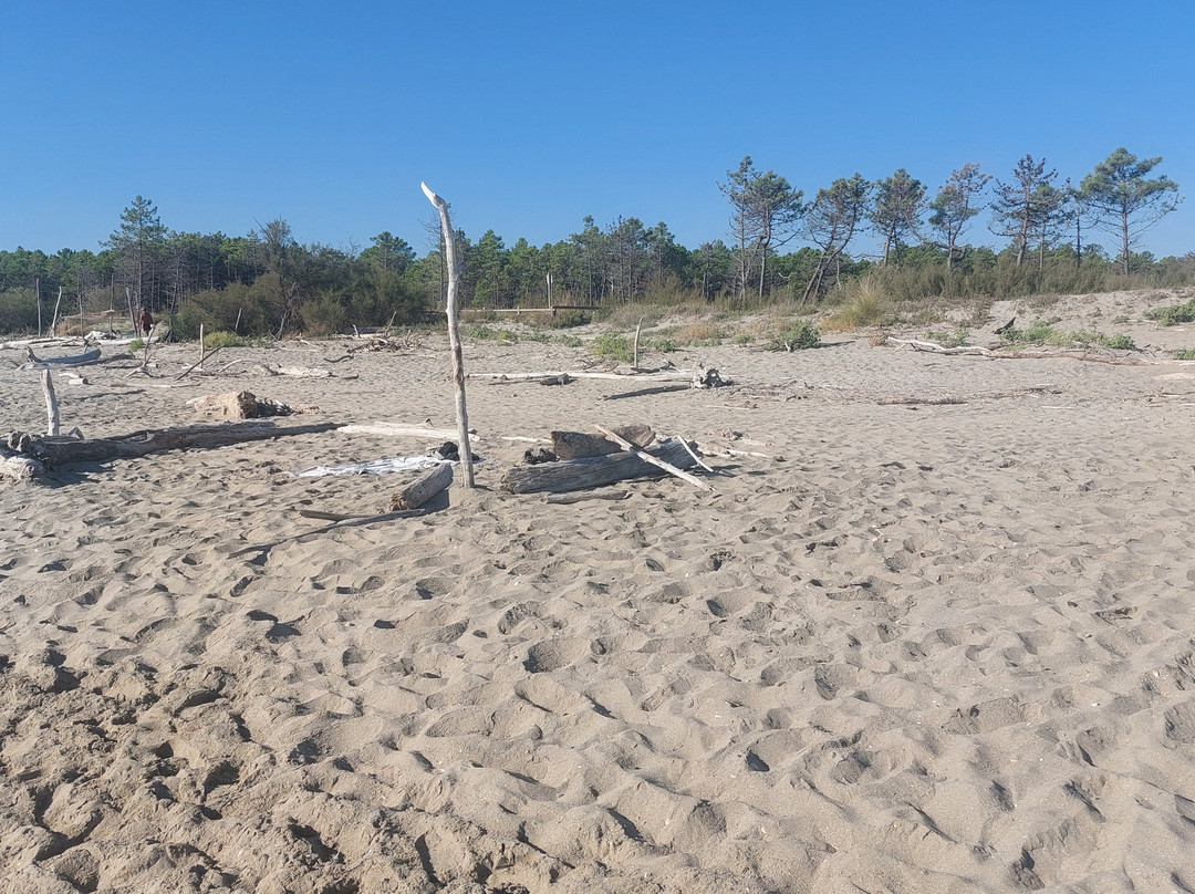 Spiaggia FKK-Lido di Dante必去景点
