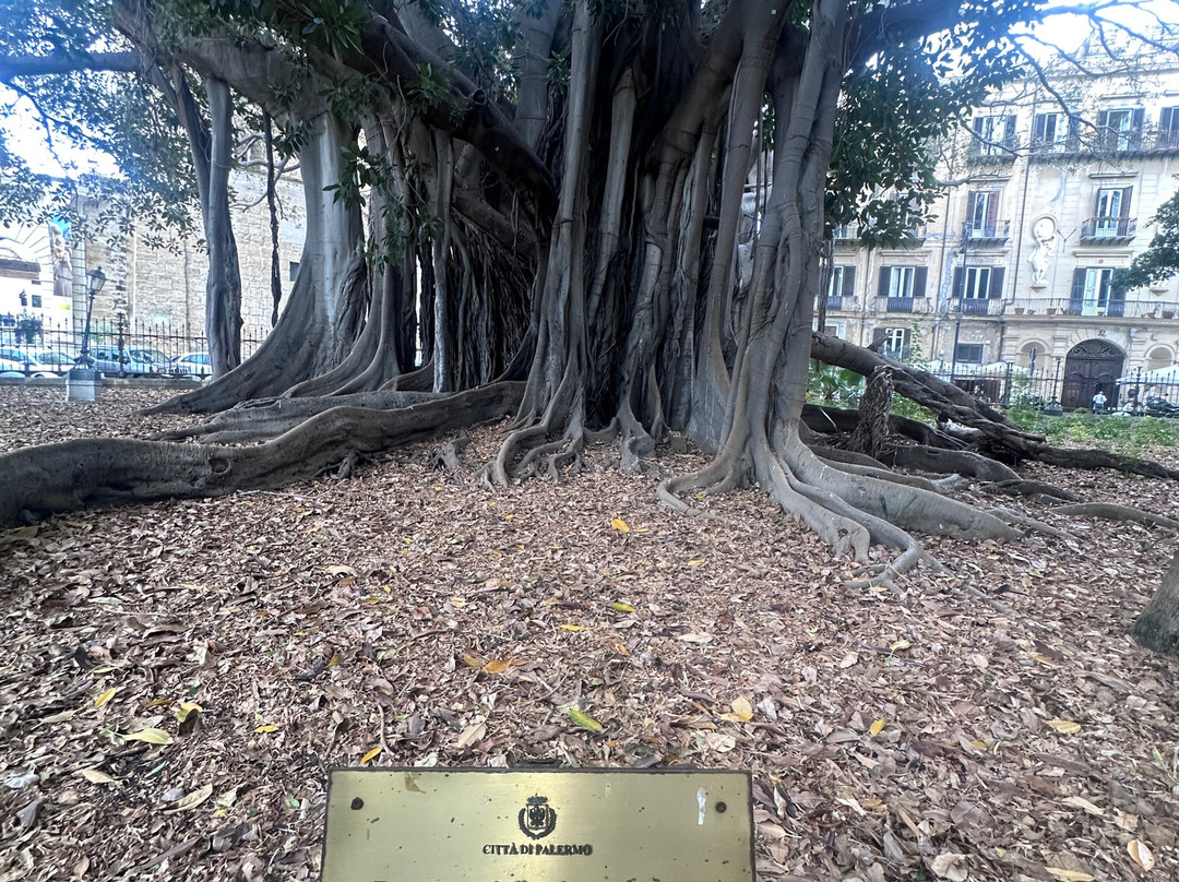 Giardino Garibaldi-巴勒莫必去景点
