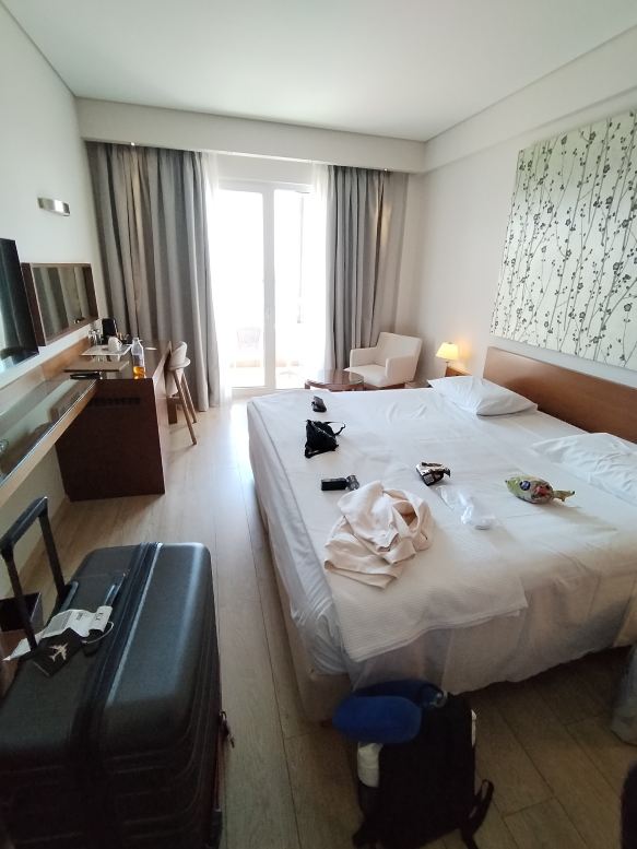 法赖宫殿酒店-旅行者