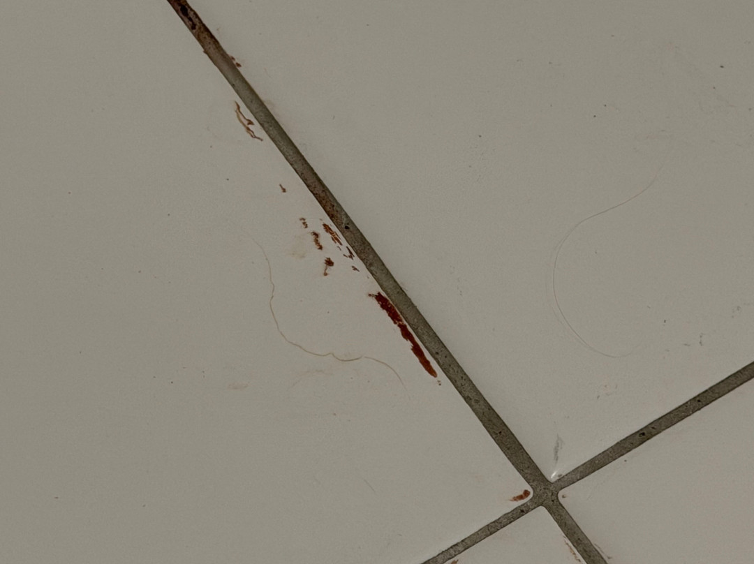 蓝色地球美吟温德姆酒店主图