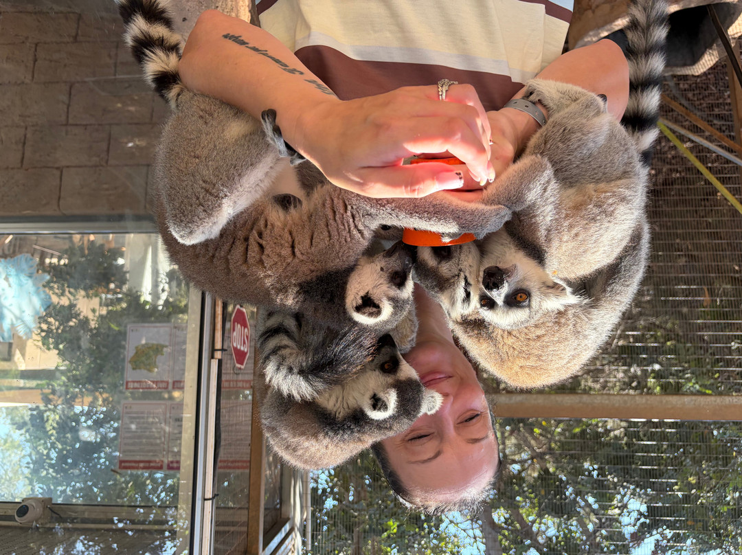 Pafos Zoo-帕福斯必去景点