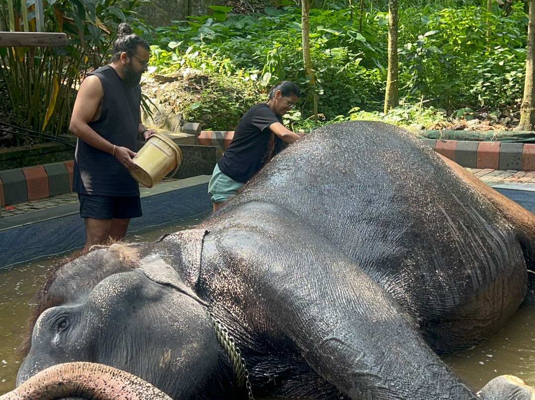 Green Kerala Tours & Travels-帖可迪必去景点