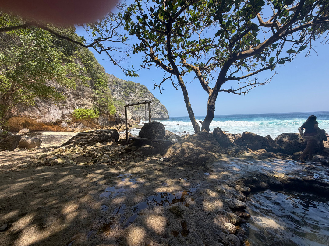 Tembeling Beach and Forest-珀尼达岛必去景点