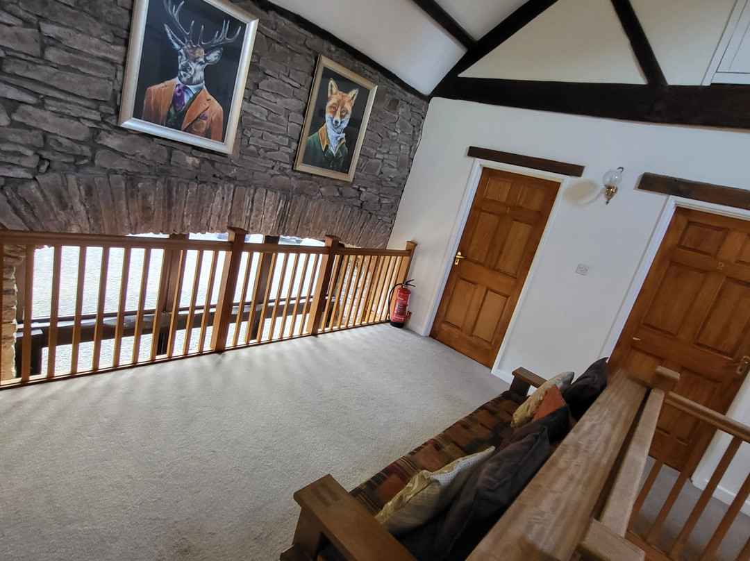 Black Mountain山林小屋