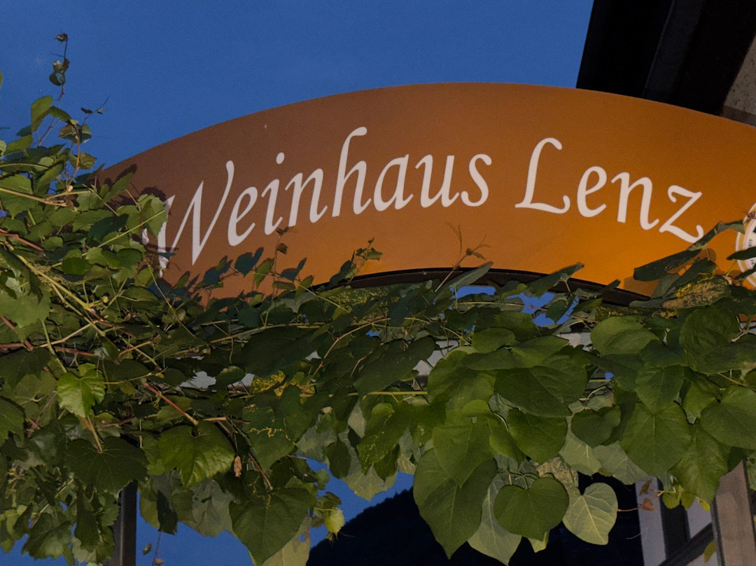 Lenz酒店主图