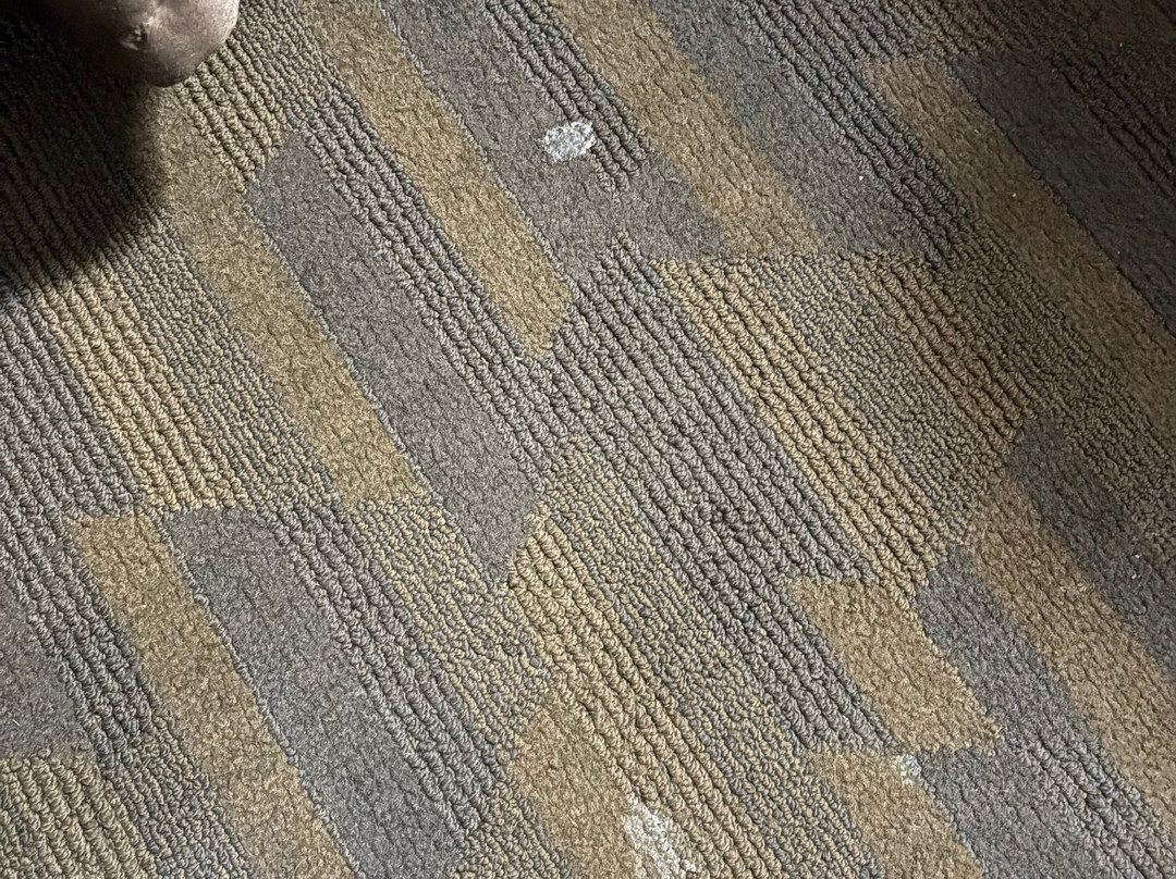 林肯新维多利亚套房酒店主图