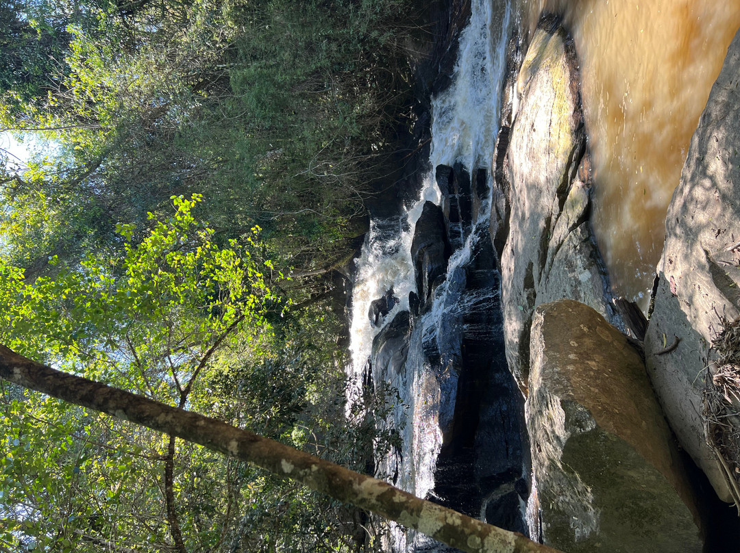 Cachoeira dos Felix-Bueno Brandao必去景点