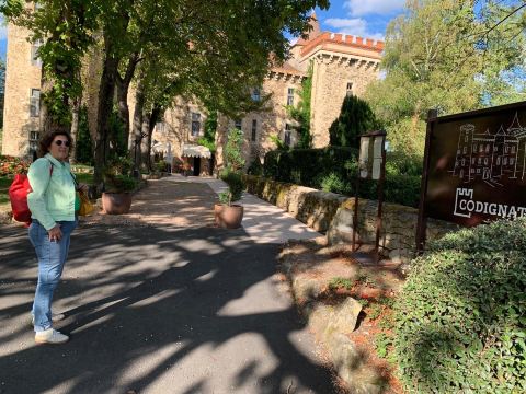 科迪纳特城堡酒店-旅行者