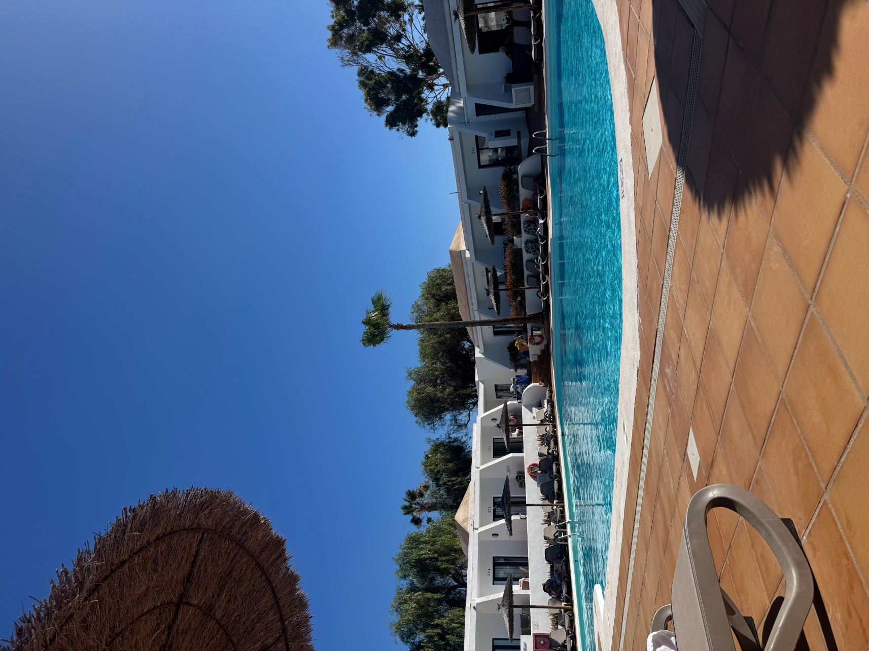 THB弗洛拉酒店-旅行者