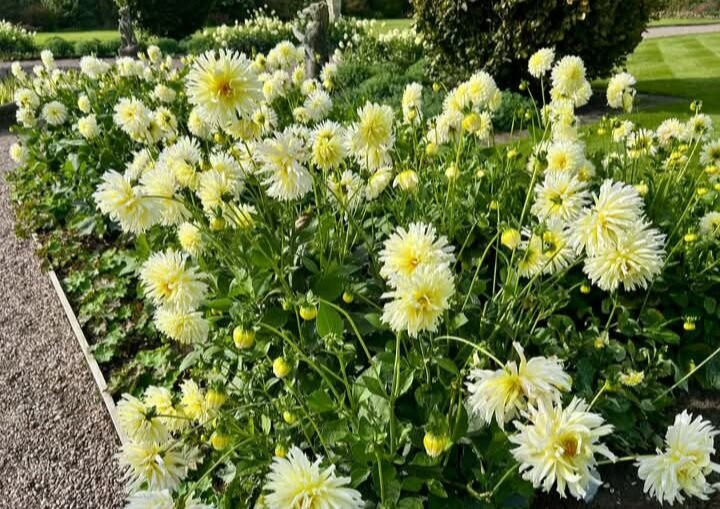 Arley Hall & Gardens-Northwich必去景点