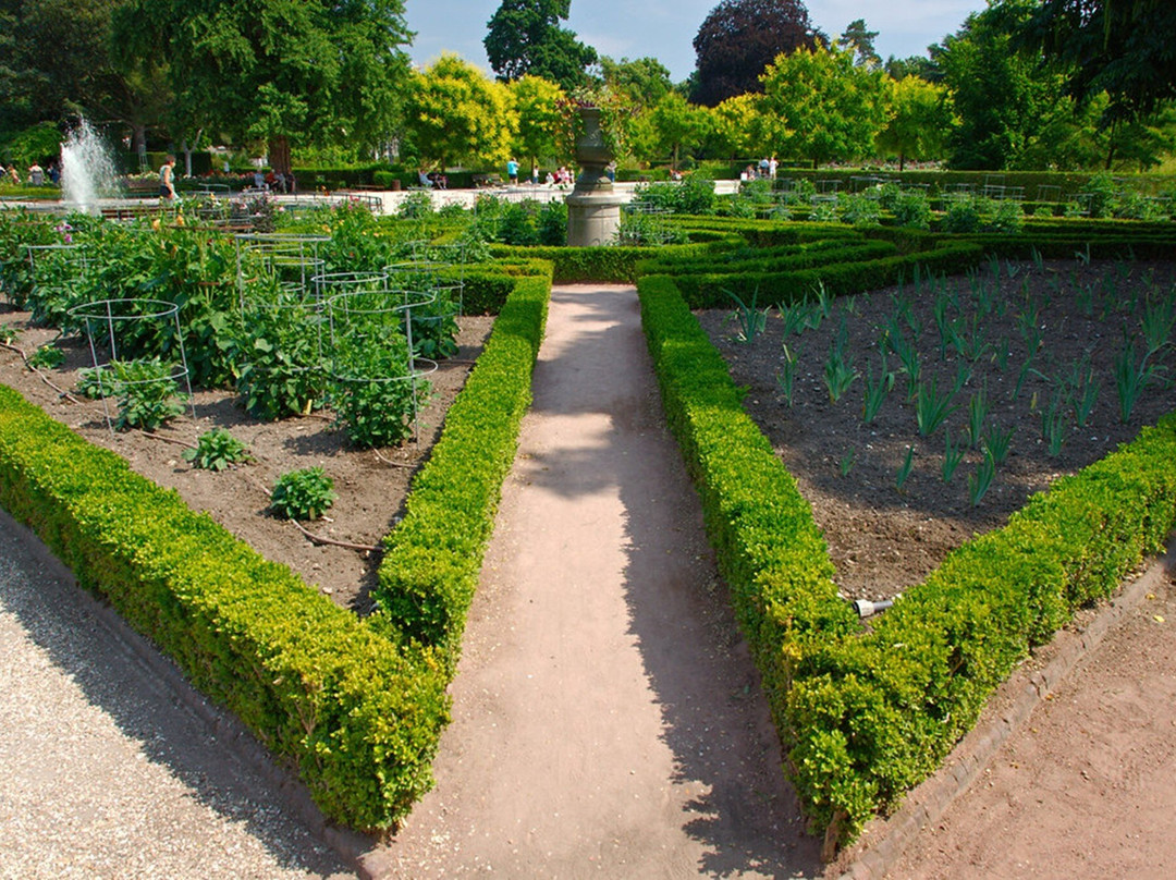 Jardin Des Plantes-鲁昂必去景点