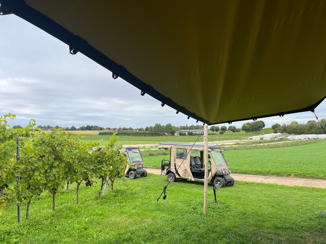 Brut Wines & Tours | Martenslinde-Bilzen必去景点