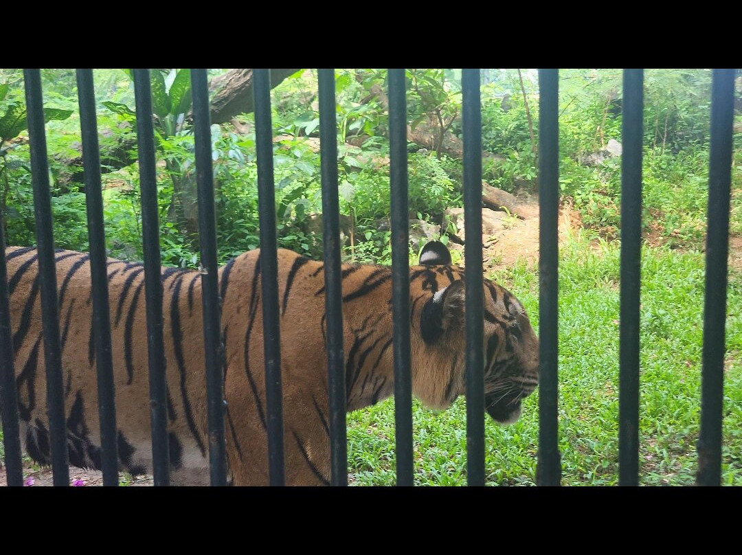 Dehiwala Zoo - Sri Lanka-拉非尼亚山必去景点