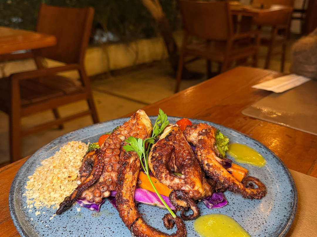 Junduh Brasil Pousada e Restaurante主图