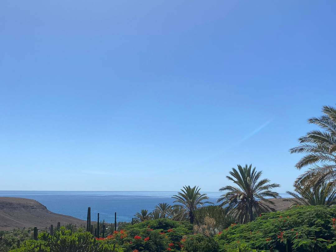 Oasis Park Fuerteventura-La Lajita必去景点