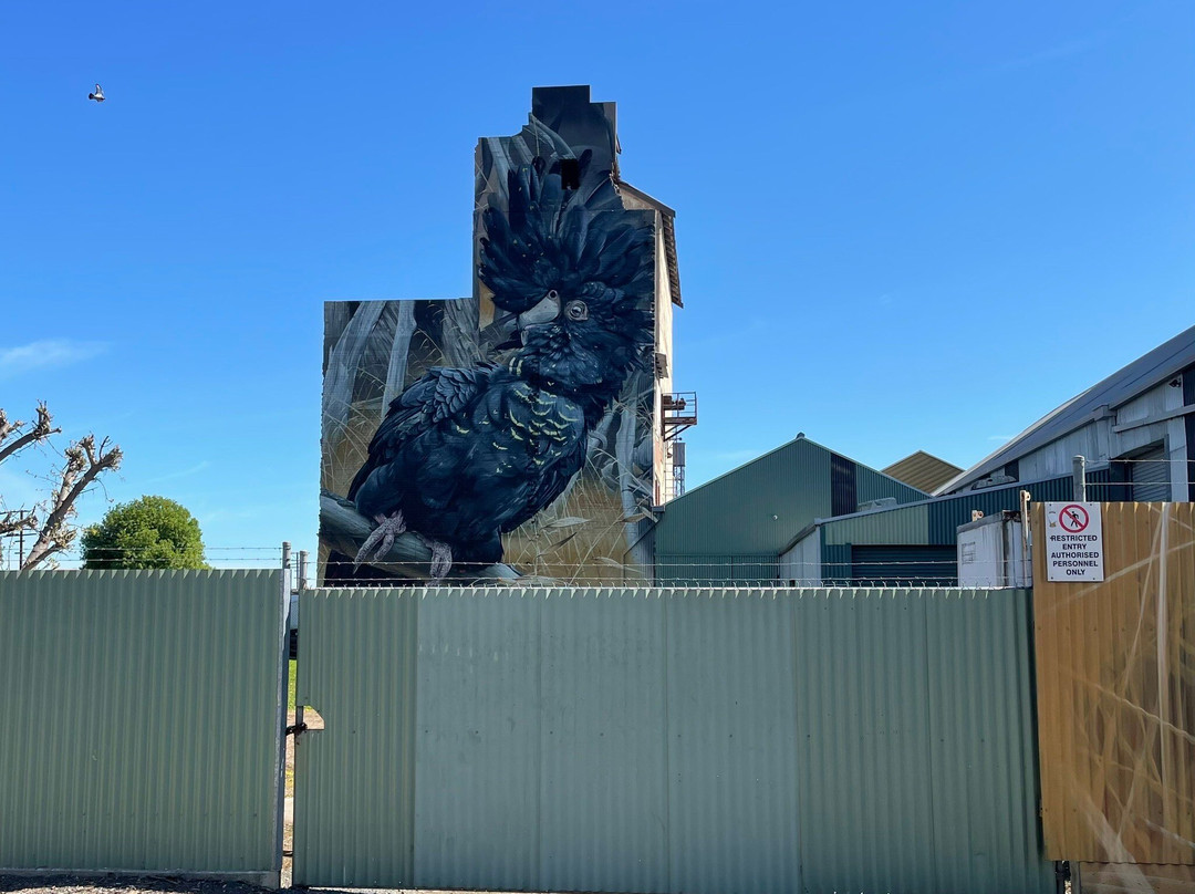 Horsham Silo Art-霍舌姆必去景点