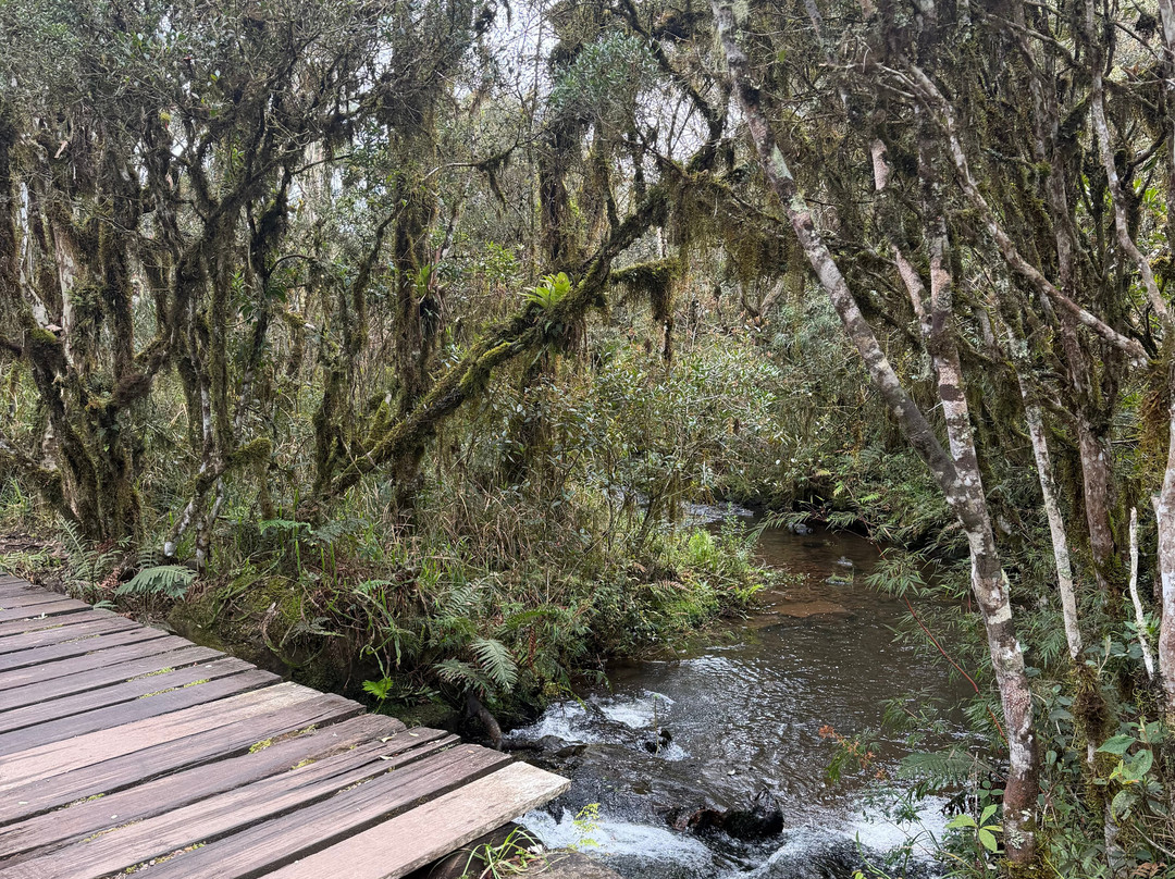 Itaimbezinho Canyon-Cambará do Sul必去景点