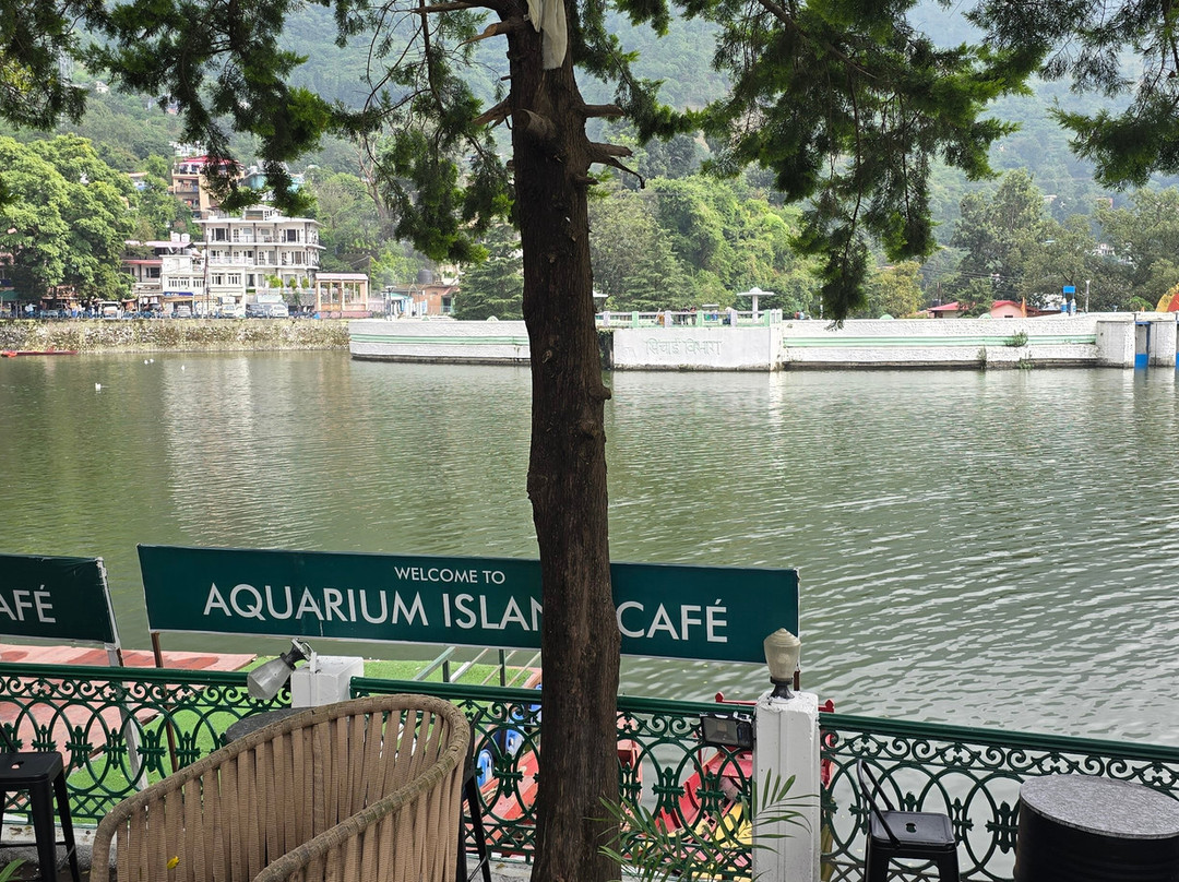 Aquarium Island Cafe Bhimtal-Bhimtal必去景点