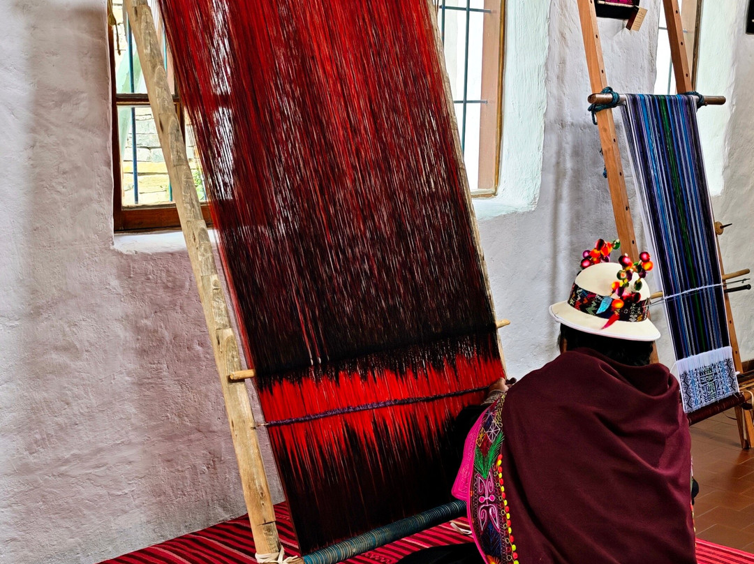 Museum of Indigenous Art ASUR-苏克雷必去景点